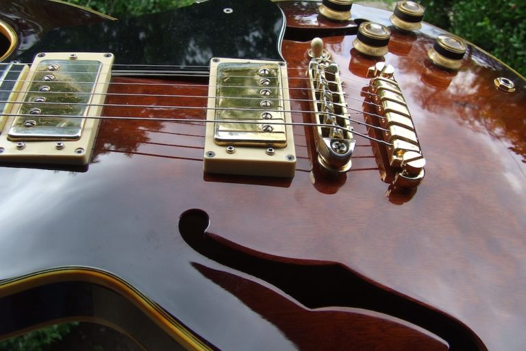 Read more about the article 1982 Ibanez AM-205